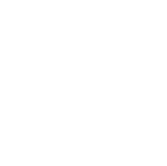 adoption white.png